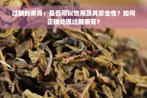 过期的茶膏：是否可以饮用及其安全性？如何正确处理过期茶膏？