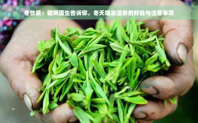 冬饮茶：健网医生告诉你，冬天喝去湿茶的好处与注意事项