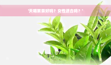 '天喝紫茶好吗？女性适合吗？'