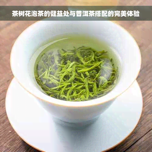 茶树花泡茶的健益处与普洱茶搭配的完美体验