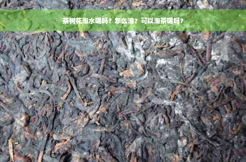 茶树花泡水喝吗？怎么泡？可以泡茶喝吗？