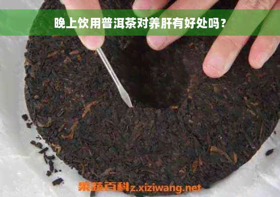 晚上饮用普洱茶对养肝有好处吗？