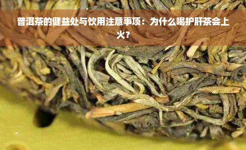 普洱茶的健益处与饮用注意事项：为什么喝护肝茶会上火？