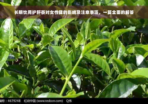 长期饮用护肝茶对女性健的影响及注意事项，一篇全面的解答