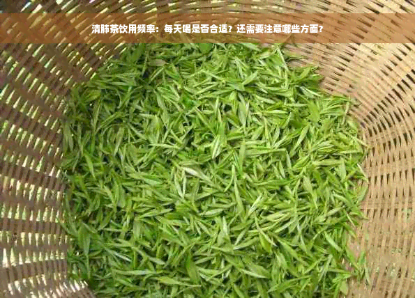 清肺茶饮用频率：每天喝是否合适？还需要注意哪些方面？