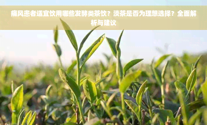 痛风患者适宜饮用哪些发酵类茶饮？淡茶是否为理想选择？全面解析与建议