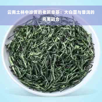 云南土林中珍贵的老班章茶：大白菜与普洱的完美融合