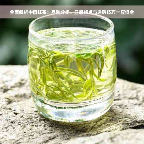 全面解析中国红茶：品种分类、口感特点与选购技巧一应俱全