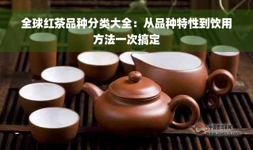 全球红茶品种分类大全：从品种特性到饮用方法一次搞定