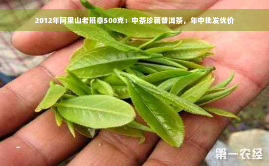 2012年阿里山老班章500克：中茶珍藏普洱茶，年中批发优价