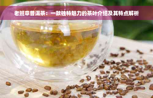 老班章普洱茶：一款独特魅力的茶叶介绍及其特点解析
