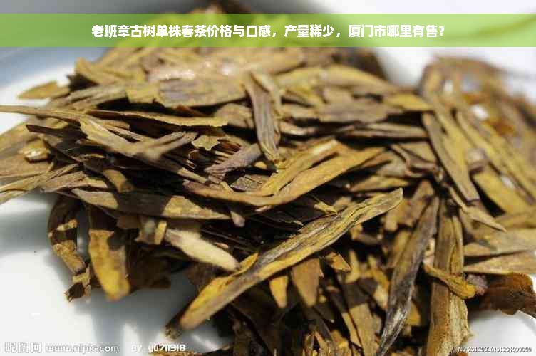 老班章古树单株春茶价格与口感，产量稀少，厦门市哪里有售？