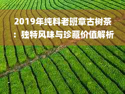 2019年纯料老班章古树茶：独特风味与珍藏价值解析