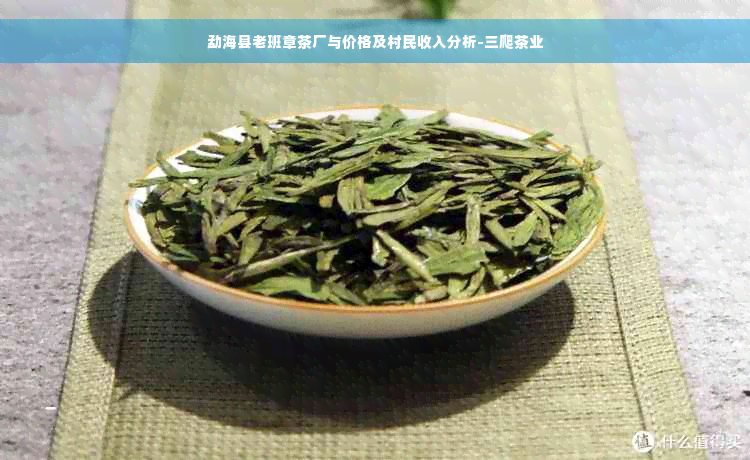 勐海县老班章茶厂与价格及村民收入分析-三爬茶业