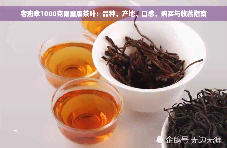 老班章1000克限量版茶叶：品种、产地、口感、购买与收藏指南