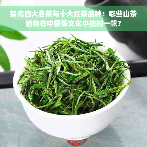 探究四大名茶与十大红茶品种：哪些山茶植物在中国茶文化中独树一帜？