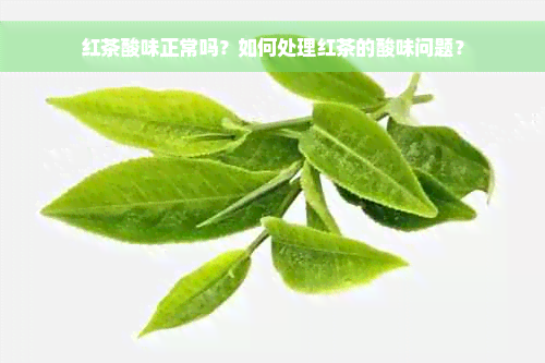 红茶酸味正常吗？如何处理红茶的酸味问题？