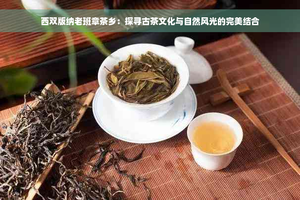 西双版纳老班章茶乡：探寻古茶文化与自然风光的完美结合