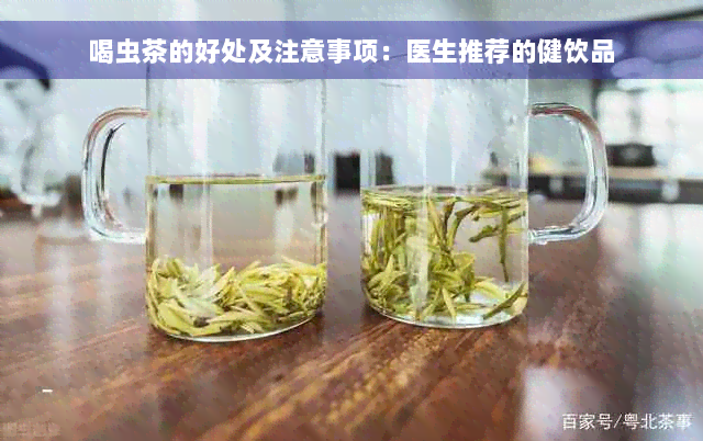 喝虫茶的好处及注意事项：医生推荐的健饮品