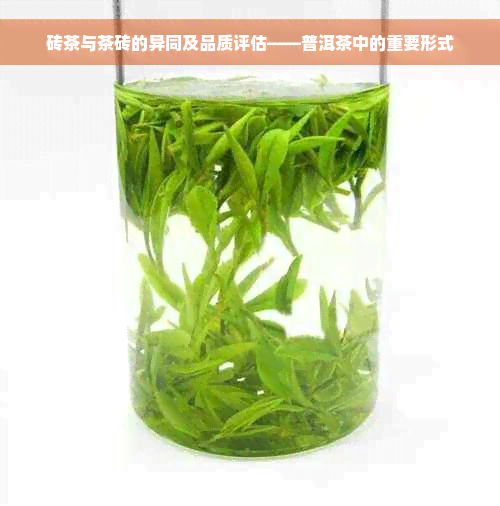 砖茶与茶砖的异同及品质评估——普洱茶中的重要形式