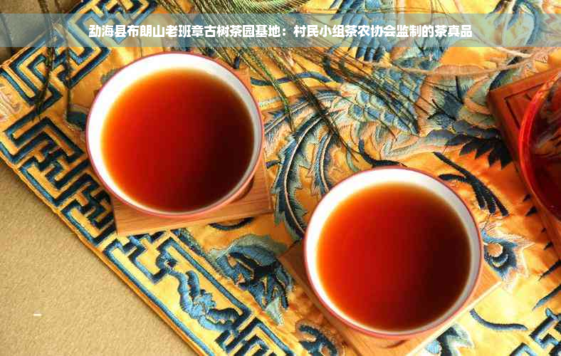 勐海县布朗山老班章古树茶园基地：村民小组茶农协会监制的茶真品
