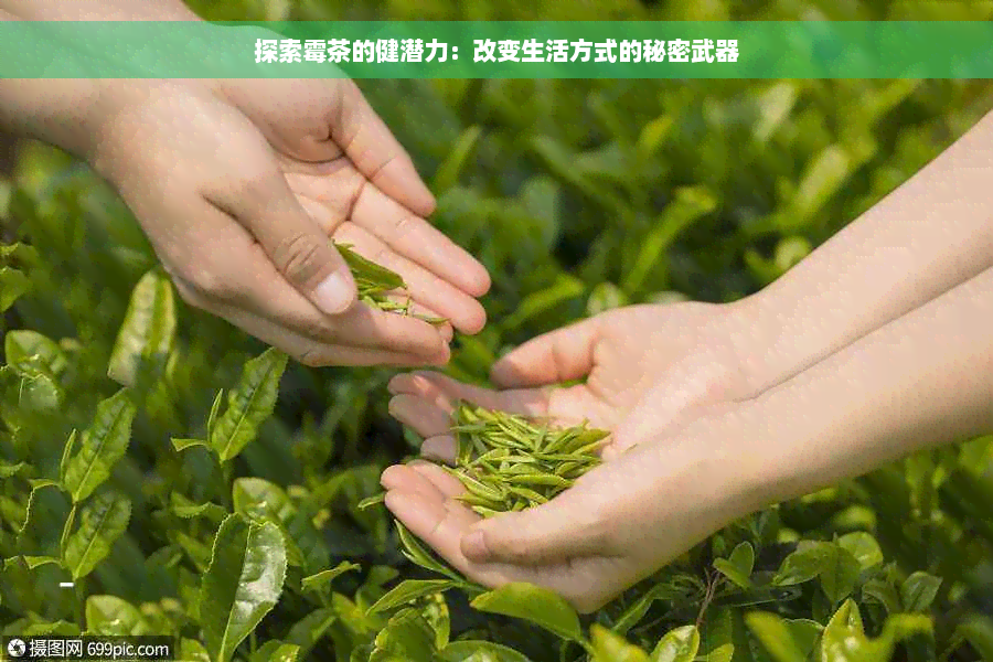 探索霉茶的健潜力：改变生活方式的秘密武器