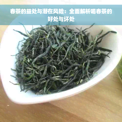 春茶的益处与潜在风险：全面解析喝春茶的好处与坏处