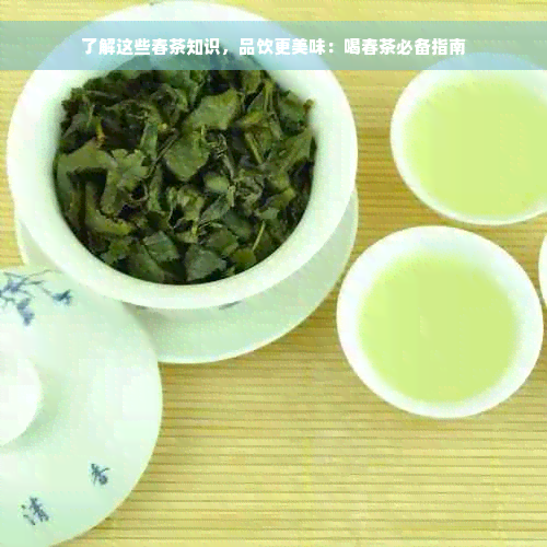 了解这些春茶知识，品饮更美味：喝春茶必备指南