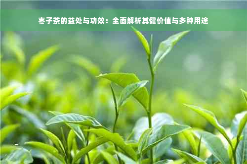 枣子茶的益处与功效：全面解析其健价值与多种用途