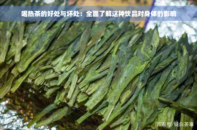 喝热茶的好处与坏处：全面了解这种饮品对身体的影响