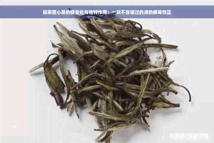 探索莲心茶的健益处与独特作用：一款不容错过的清热解毒饮品