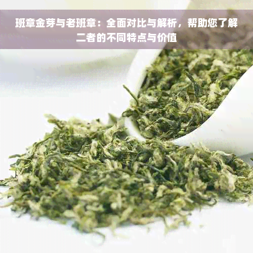 班章金芽与老班章：全面对比与解析，帮助您了解二者的不同特点与价值