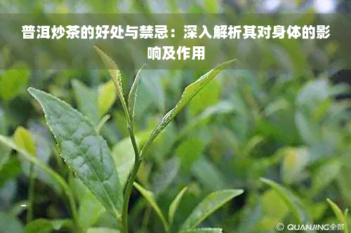 普洱炒茶的好处与禁忌：深入解析其对身体的影响及作用