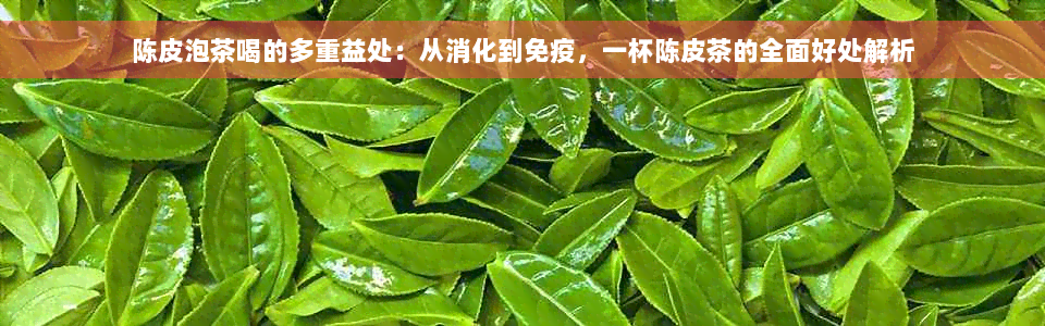 陈皮泡茶喝的多重益处：从消化到免疫，一杯陈皮茶的全面好处解析