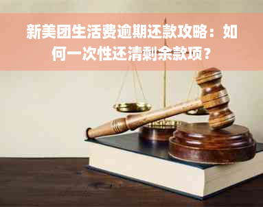 新美团生活费逾期还款攻略：如何一次性还清剩余款项？