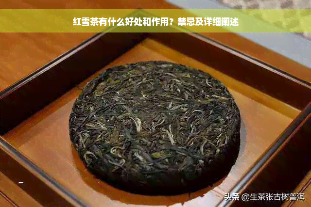 红雪茶有什么好处和作用？禁忌及详细阐述