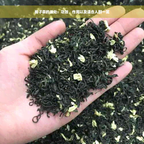 栀子茶的益处：功效、作用以及适合人群一览