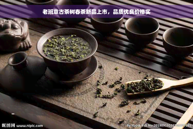 老班章古茶树春茶新品上市，品质优良价格实