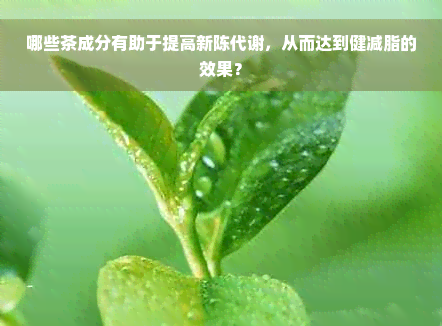 哪些茶成分有助于提高新陈代谢，从而达到健减脂的效果？