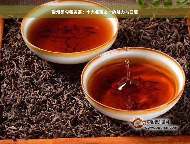 贵州都匀毛尖茶：十大名茶之一的魅力与口感