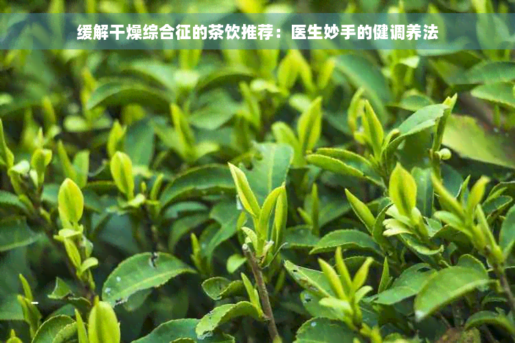 缓解干燥综合征的茶饮推荐：医生妙手的健调养法