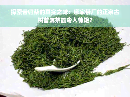 探索昔归茶的真实之味：哪家茶厂的正宗古树普洱茶最令人惊艳？