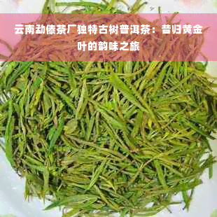 云南勐傣茶厂独特古树普洱茶：昔归黄金叶的韵味之旅