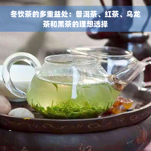 冬饮茶的多重益处：普洱茶、红茶、乌龙茶和黑茶的理想选择