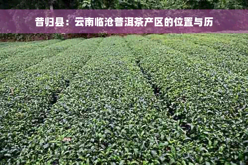 昔归县：云南临沧普洱茶产区的位置与历