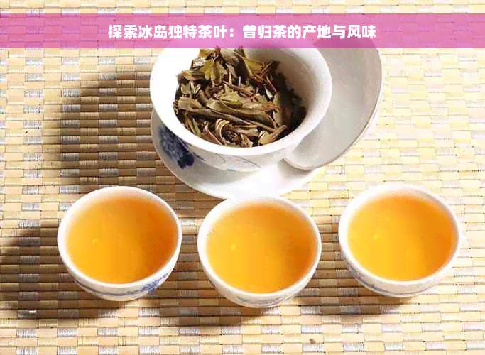 探索冰岛独特茶叶：昔归茶的产地与风味