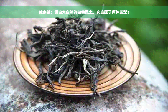 冰岛茶：源自大自然的独特风土，究竟属于何种类型？