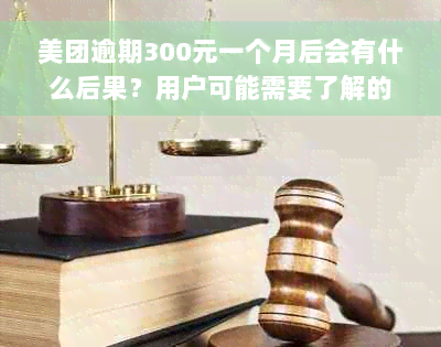 美团逾期300元一个月后会有什么后果？用户可能需要了解的全面解决方法