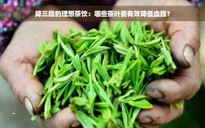 降三脂的理想茶饮：哪些茶叶能有效降低血脂？