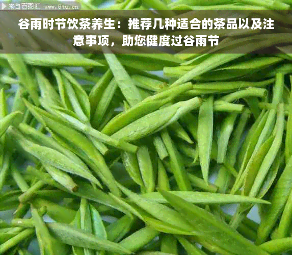 谷雨时节饮茶养生：推荐几种适合的茶品以及注意事项，助您健度过谷雨节